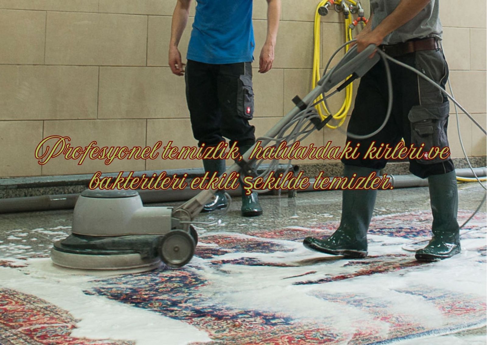 Yenişehir Halı Temizleme
